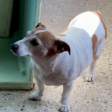 Accommodatie bij particulieren Budget Double In Kilkenny