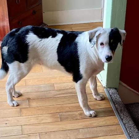 Accommodatie bij particulieren Budget Double In *