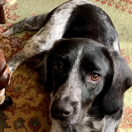 Privatunterkunft Budget Double In *