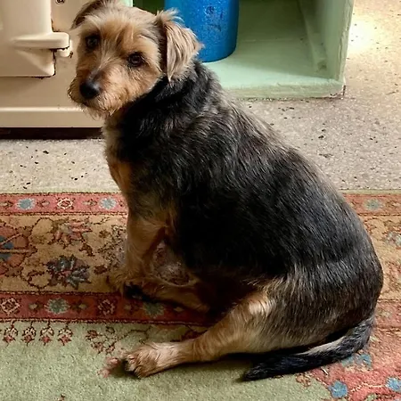 Privatunterkunft Budget Double In Kilkenny