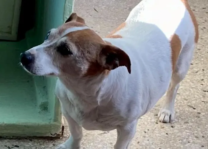 Проживание в семье Budget Double In Килкенни