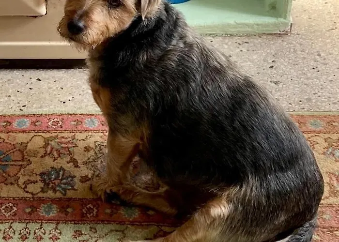 Проживание в семье Budget Double In Килкенни